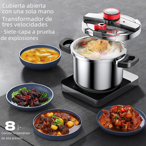 AEU 6L Stainless Steel Pressure Cooker for Home Use